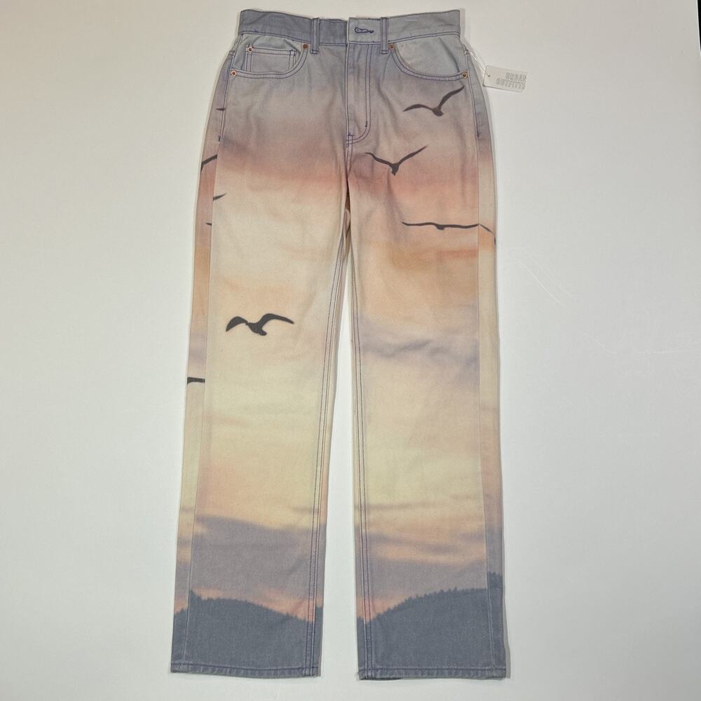 BDG Urban Outfitters Sunset Jeans Womens 27 Gradient Cowboy Seagull NWT Unique